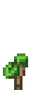 Cocoa Crop.gif