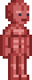 Anatomy Set.png