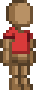 Plain T-Shirt.png
