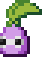 Poison Bulbop.png
