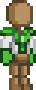 Peacock Shirt.png