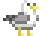 Gull.gif