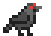 Raven.gif