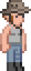Cabin Tenant.png