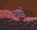 Wild Neonmelon