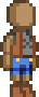 Rustler Set.png