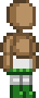Peacock Skirt.png