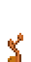Coralcreep Crop.gif