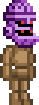 Paladin's Helm.png