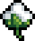 Cotton Fibre.png