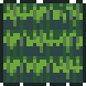 Reed Block Sample.png