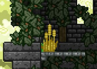 Wheat Growing Wild in a Tower
