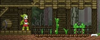 Avian NPC Garden