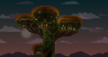 Floran Treetop Village 3.png