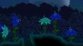Giant Flower Biome.jpg