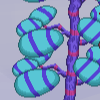 Leaves - alienbigleaf example.png