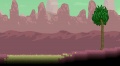 Desert Biome 8.jpg