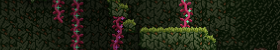 Wilderness Banner.png