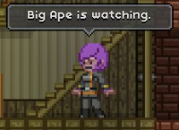 Big Ape is Watching