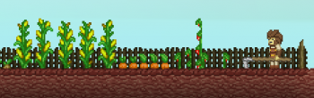 An Apex Farm